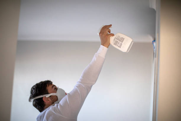 Best Basement Mold Remediation in Moreno Valley, CA